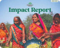 impact report