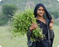 regenerative organic