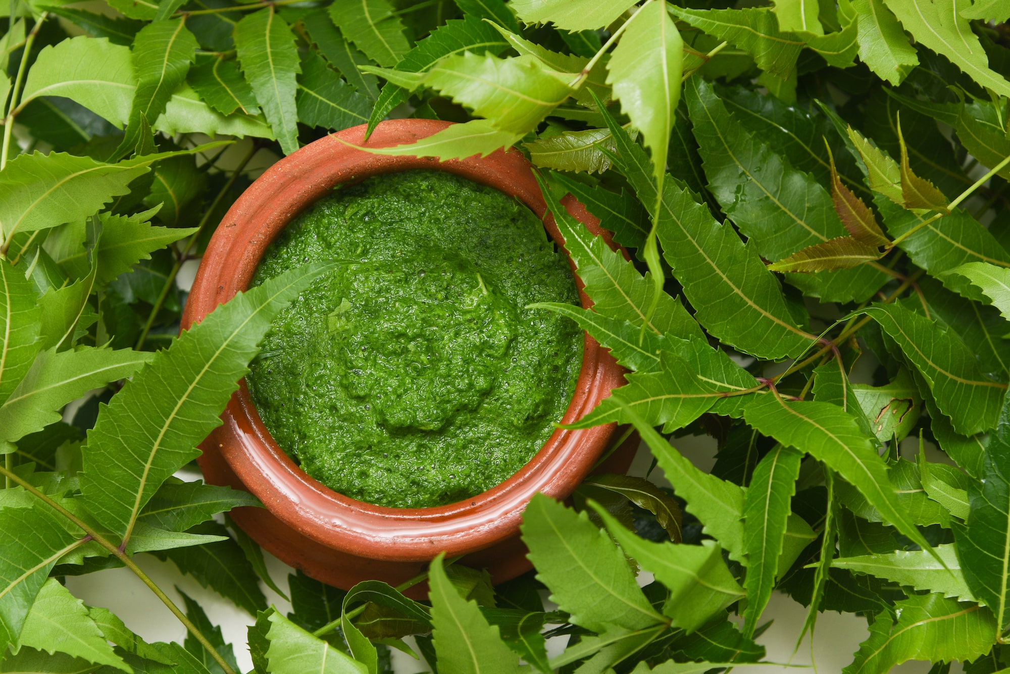 Amazing Neem Amazing Neem for Skin Health | Organic India