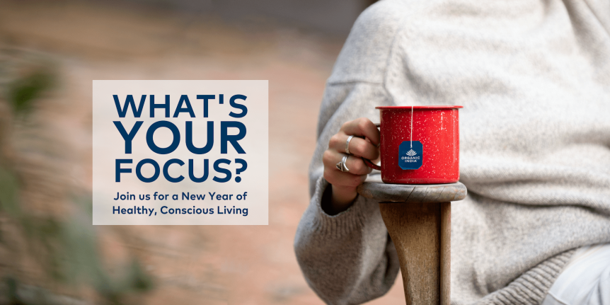 Focus Campaign Image