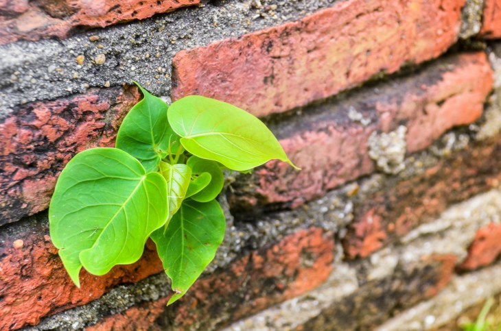 We adapt to small changes every day, but sweeping social and cultural change can be stressful.