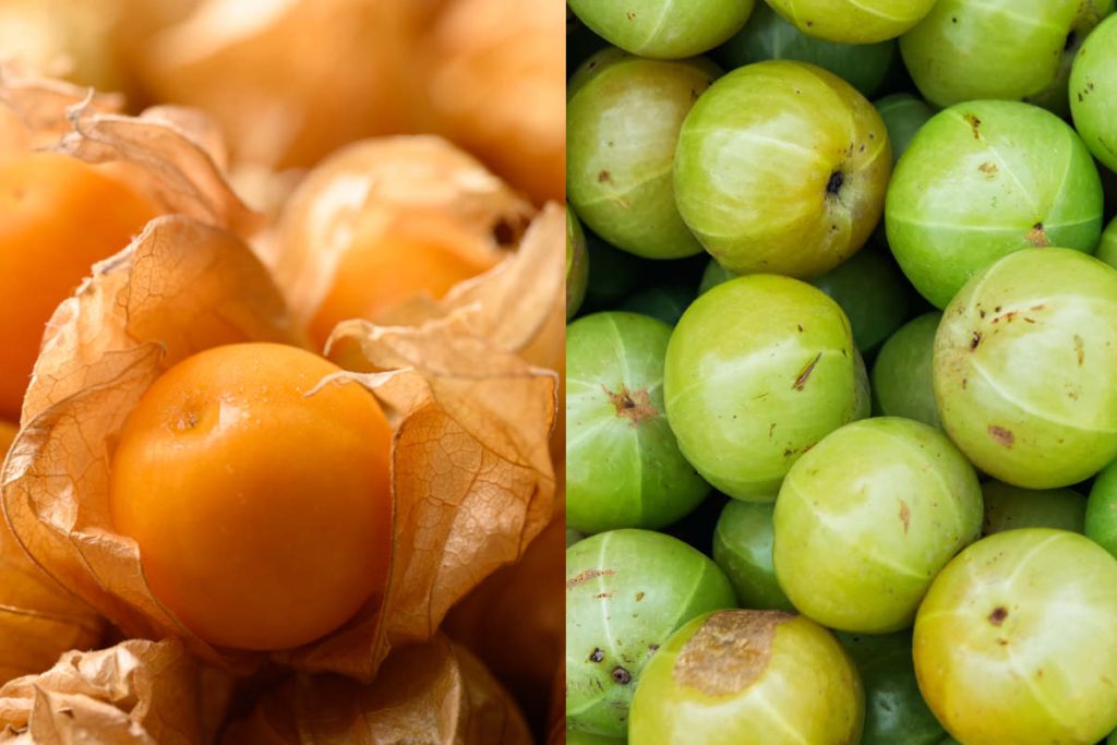Orange cape gooseberry and light green amla berry