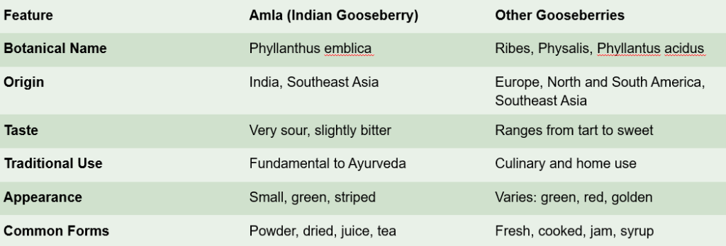 Side-by-side amla vs gooseberry comparison chart