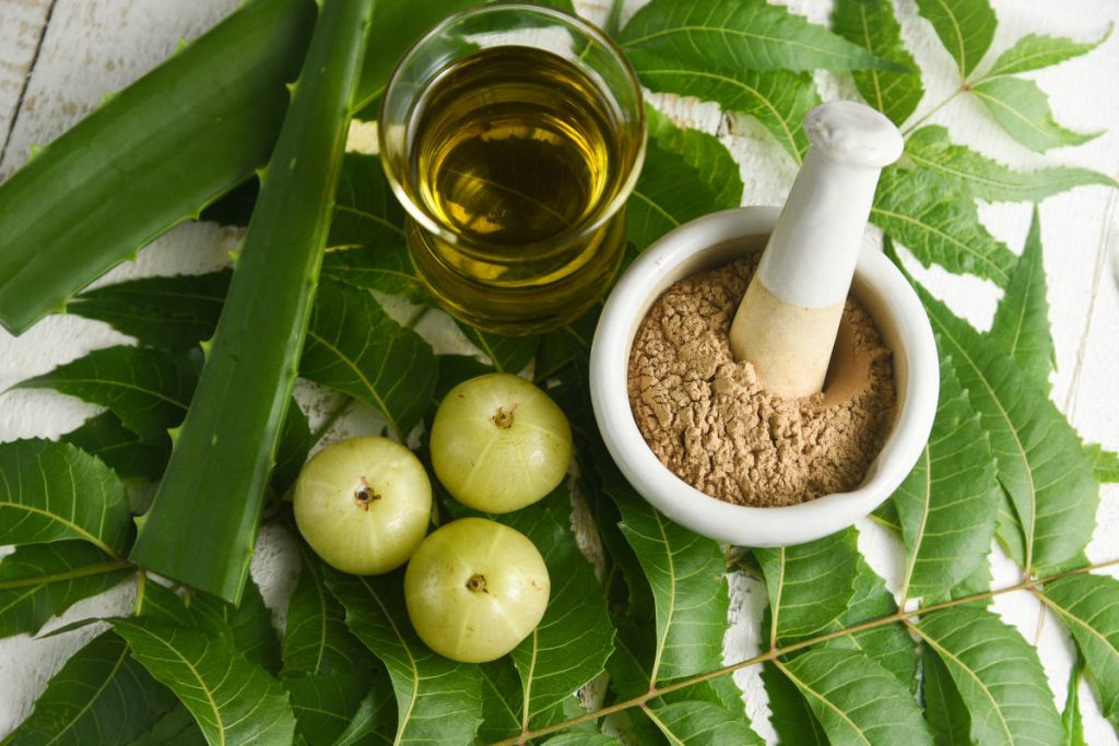 Ayurvedic herbs for liver wellness