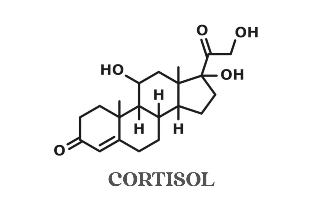 cortisol hormone molecular structure