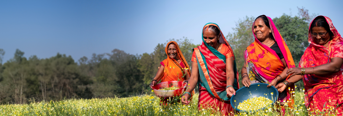 Herbal Tradition