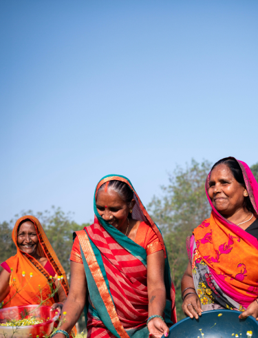 Herbal Tradition