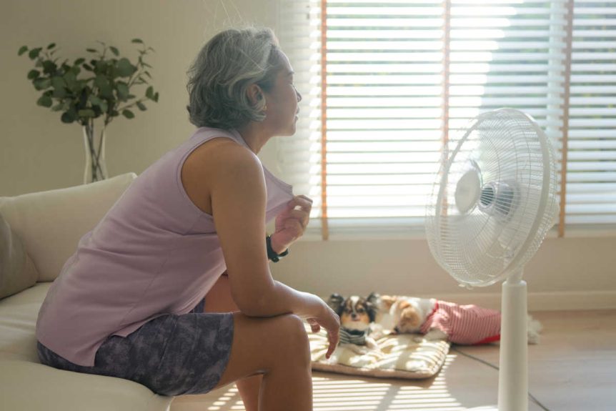 Middle-aged woman experiencing hot flashes with freestanding fan and 2 dogs.