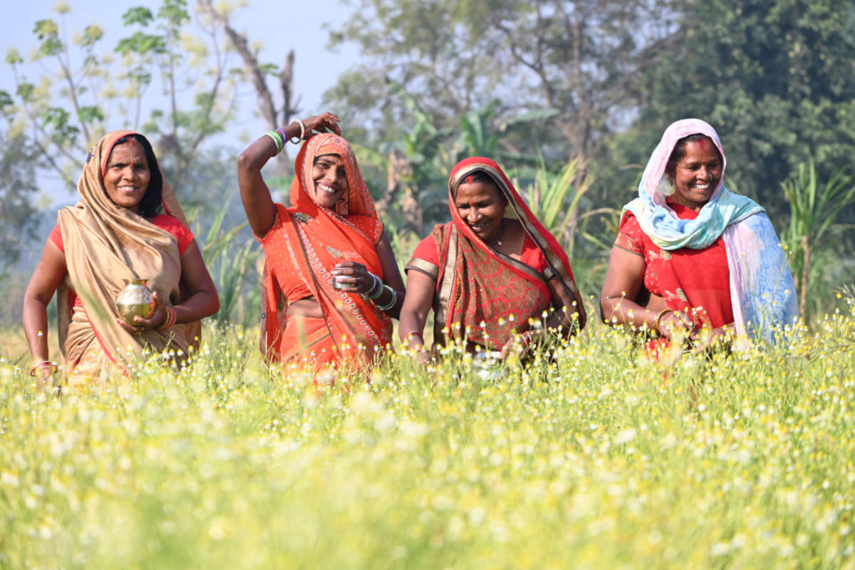 Herbs for Luck: Boost Your Fortune with 11 Powerful Herbs Organic India