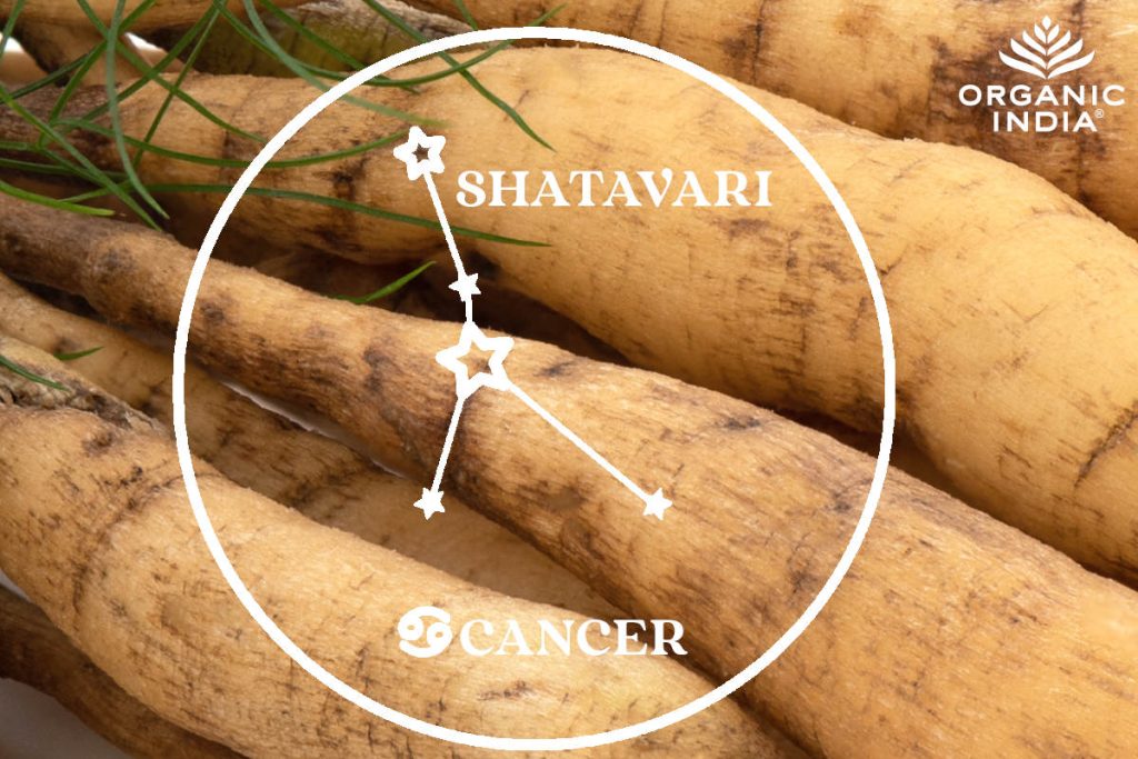 Shatavari for cancer sign.