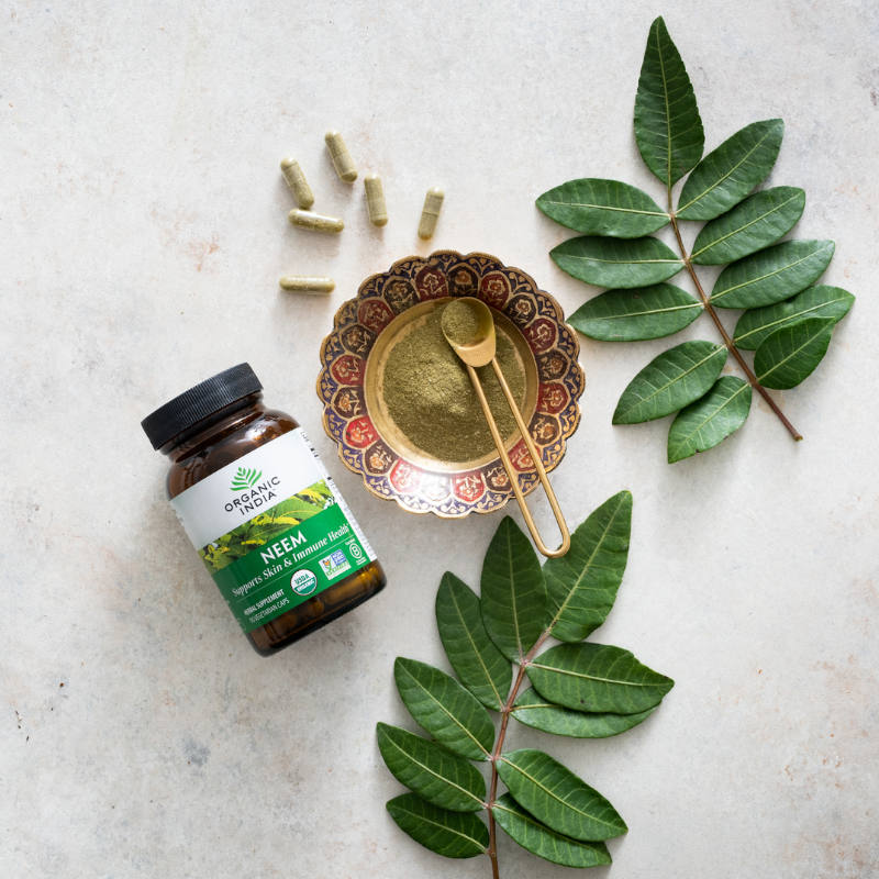 Neem capsules, powder and leaves on marble table.