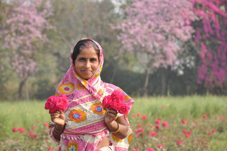 Power of rose farmer partner hand harvesting roses from a lush farm.