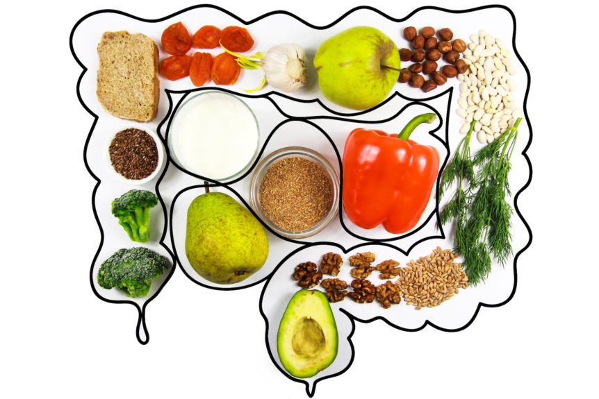 Prebiotics vs. probiotics food in the intestines to help support gut health.
