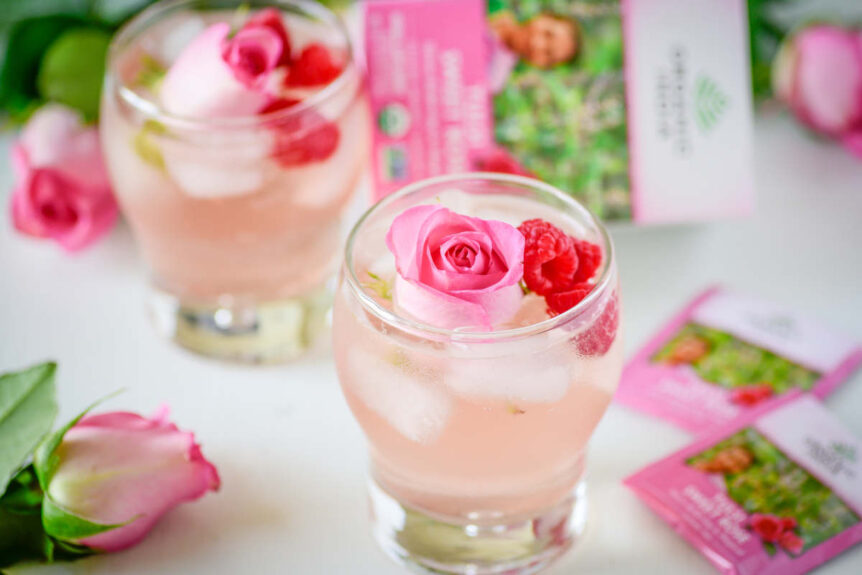 Sweet rose spritzer over ice in a glass garnished with rose and raspberry