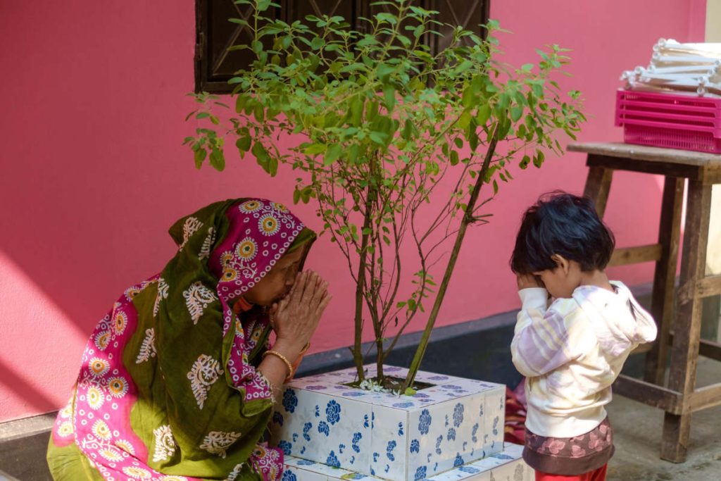 Mother and young son worshipping a holy basil plant