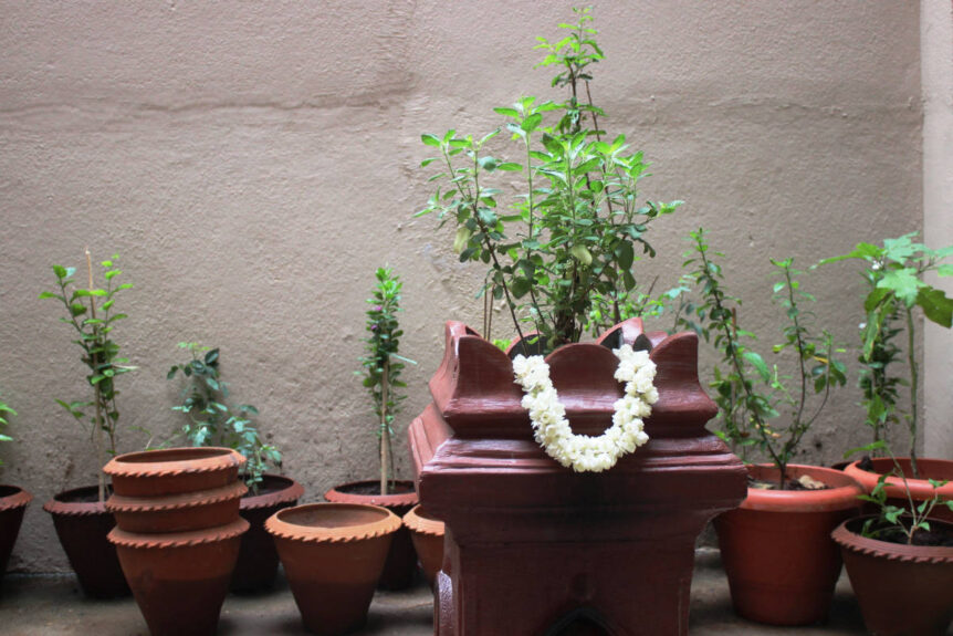 tulsi in home for protection